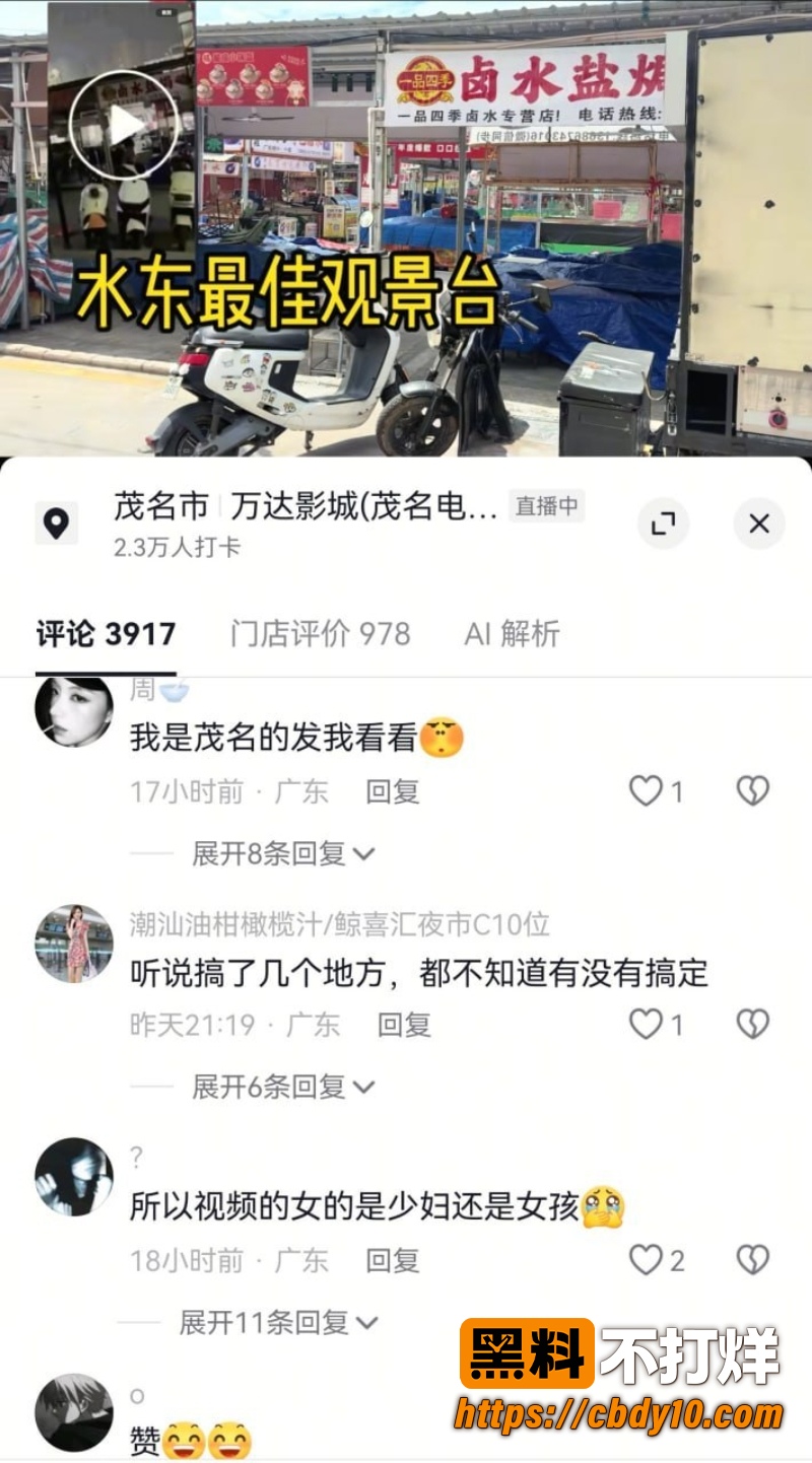 广东茂名电白水东鲸喜汇 5