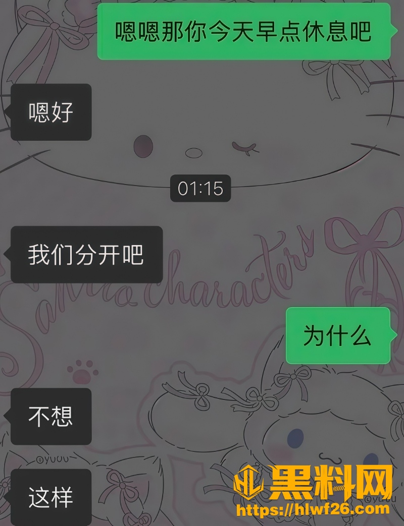 聊天记录2