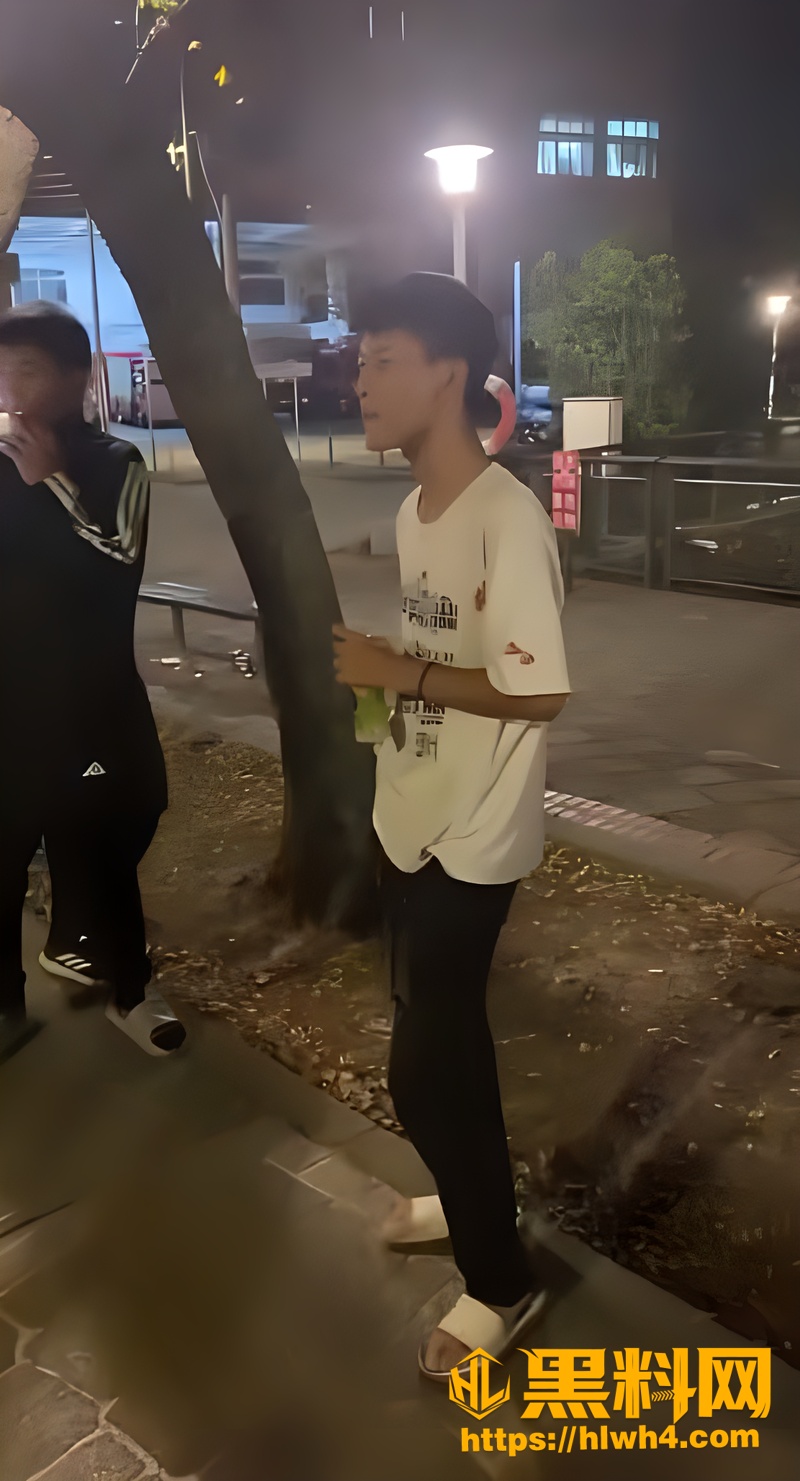 桃园市霸凌视频