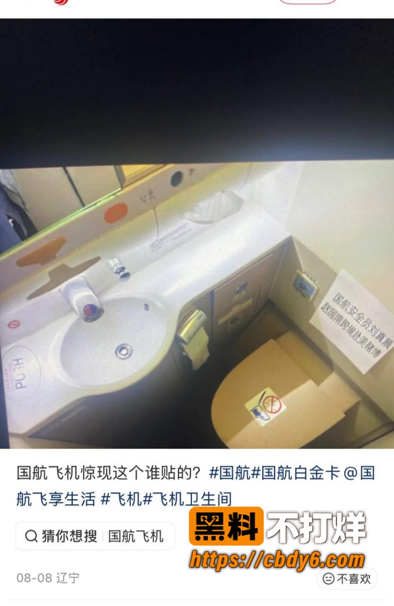 国航空保支队三大队长王成林1 13
