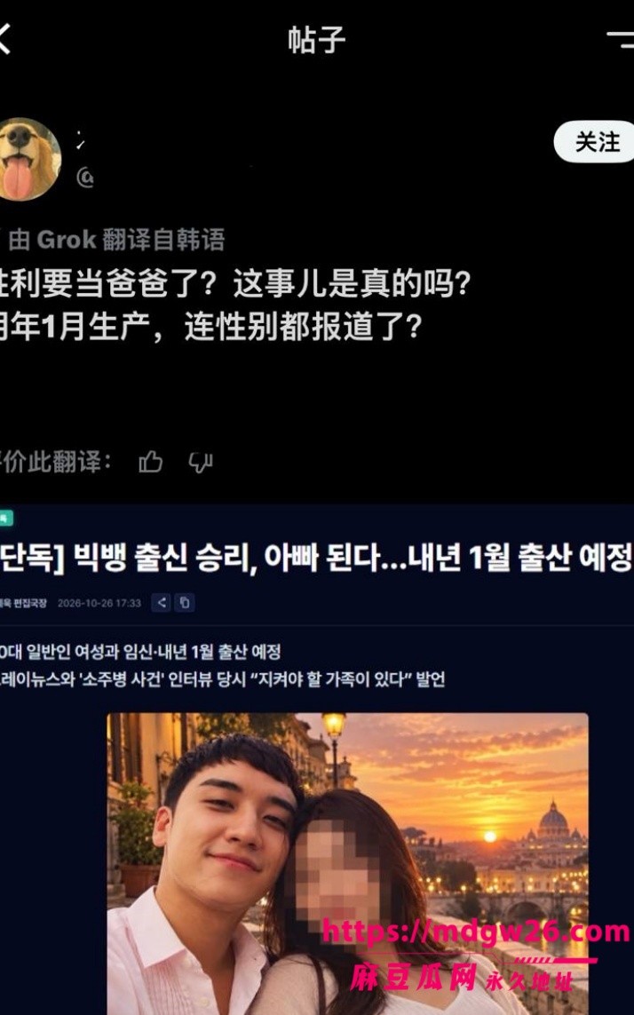 韩国BIGBANG 胜利24