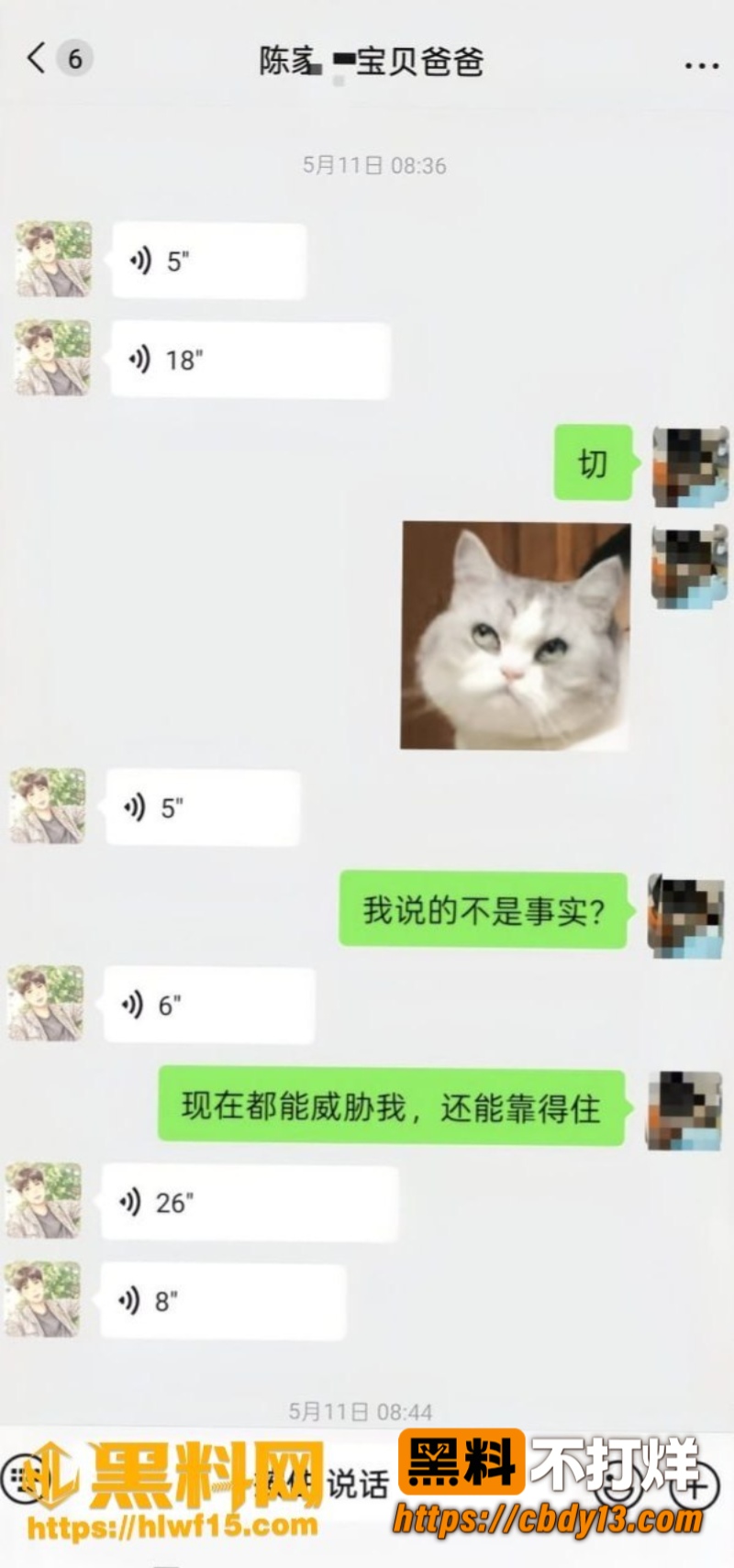 陈俊雄15
