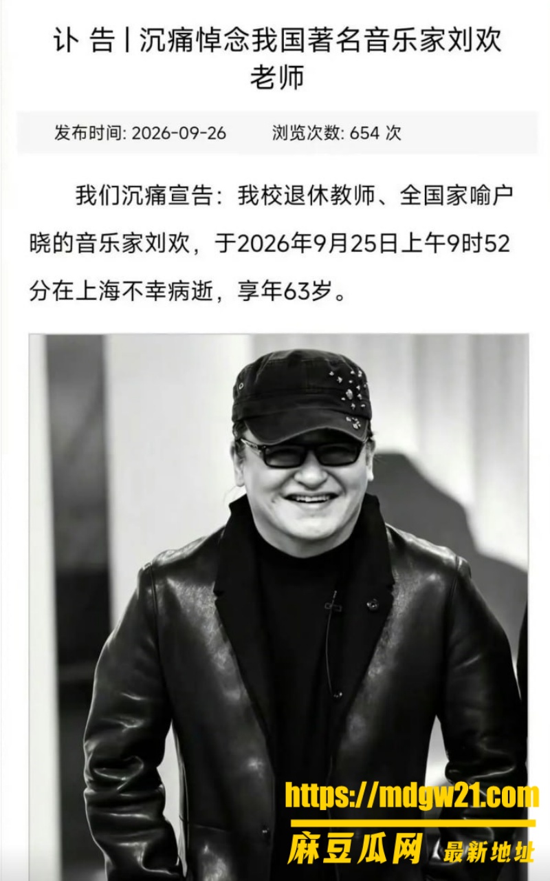 音乐家刘欢5