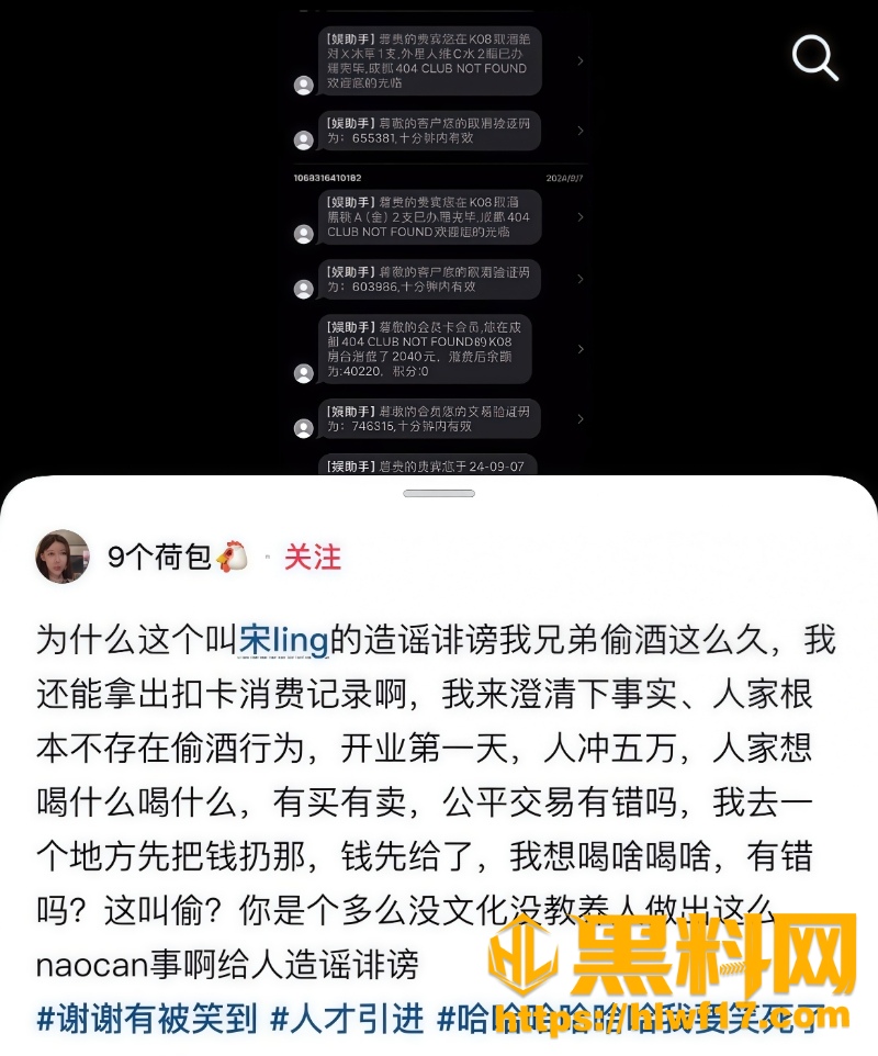 女网红宋领假名媛被曝光