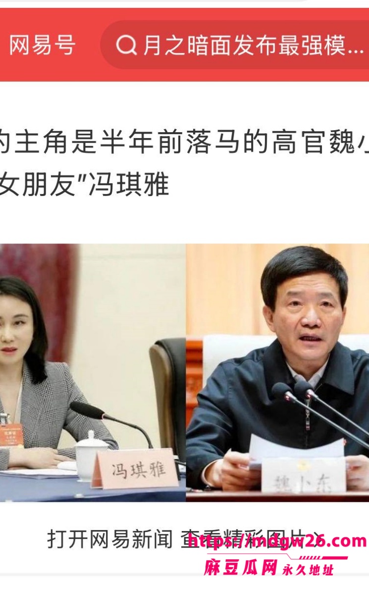 正部级官员 魏小东2