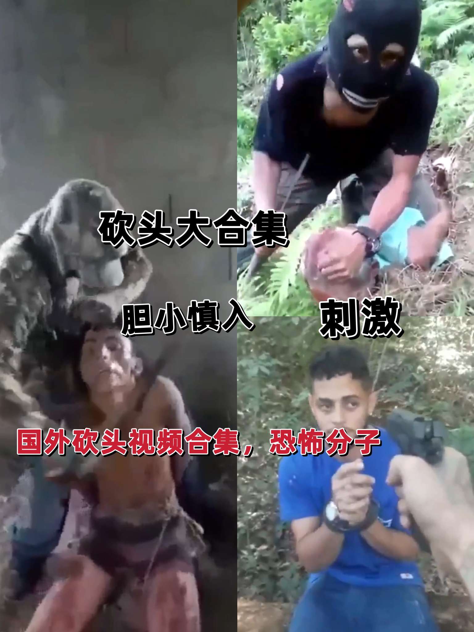 Poster for 歪国砍头合集，胆小慎入