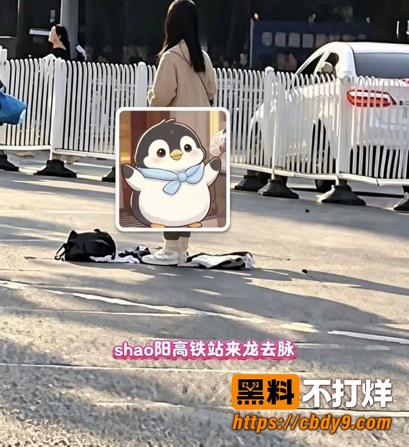 邵阳高铁站女子全裸站马路中央 6