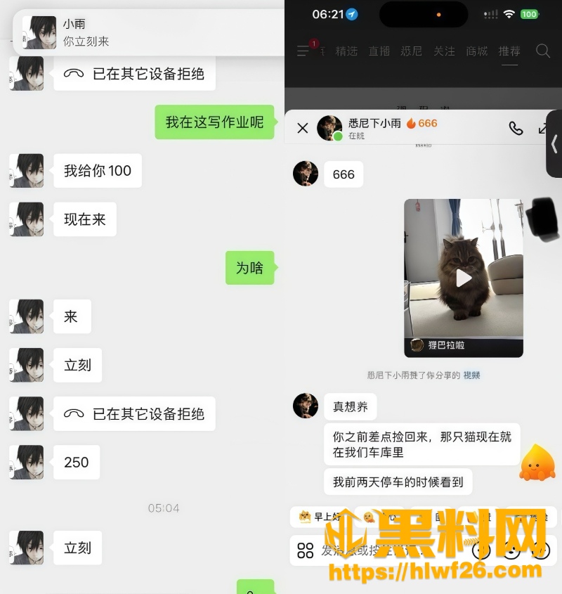 小雨宝宝5