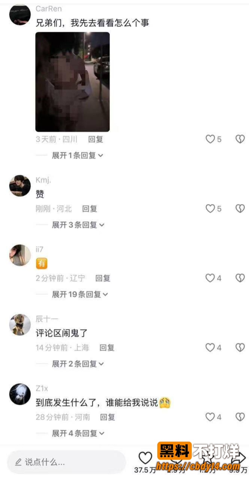 刘大炮15