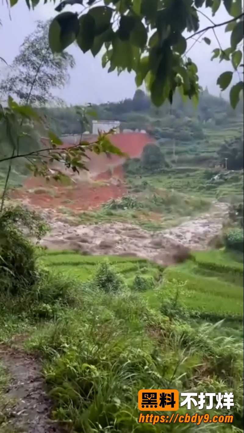 江西遂川高坪镇泥石流灾害 3