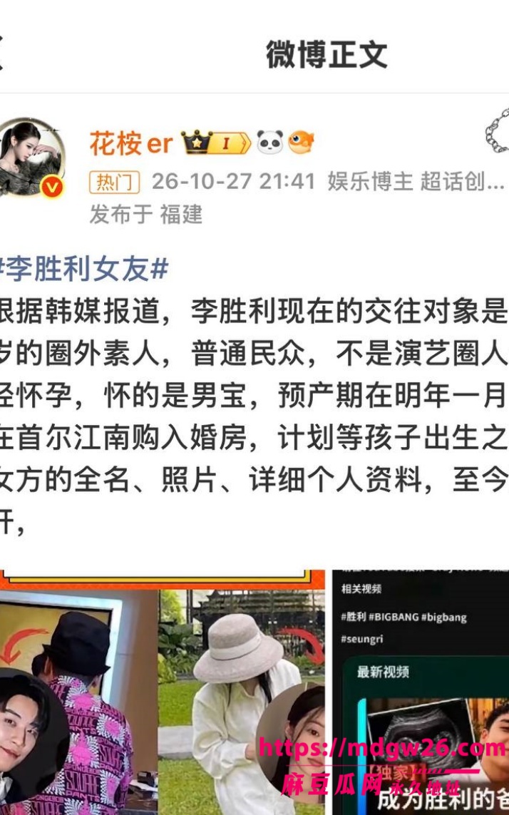 韩国BIGBANG 胜利14
