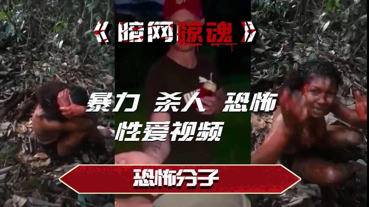恐怖分子 的封面