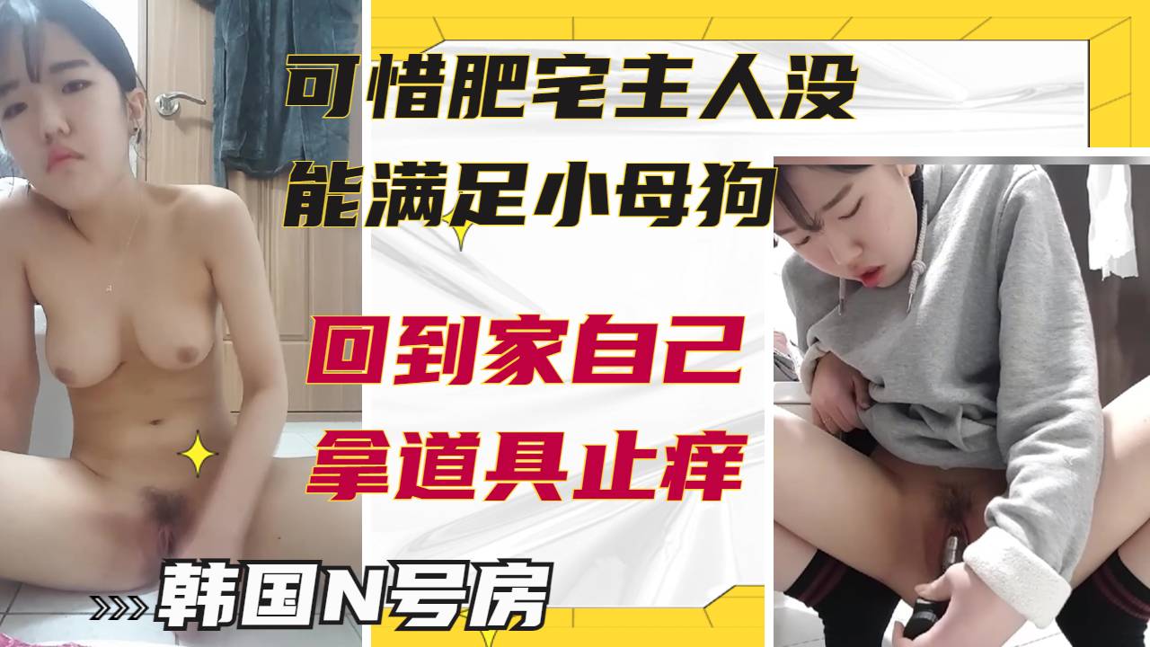 肥宅主人没能满足小母狗回到家只好拿道具狂痛骚逼自慰 的封面