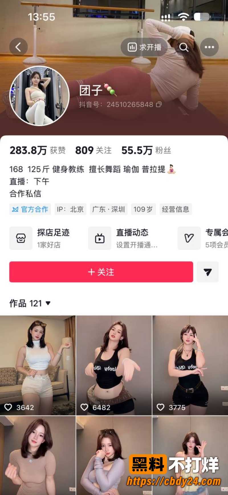 元宝团子 9