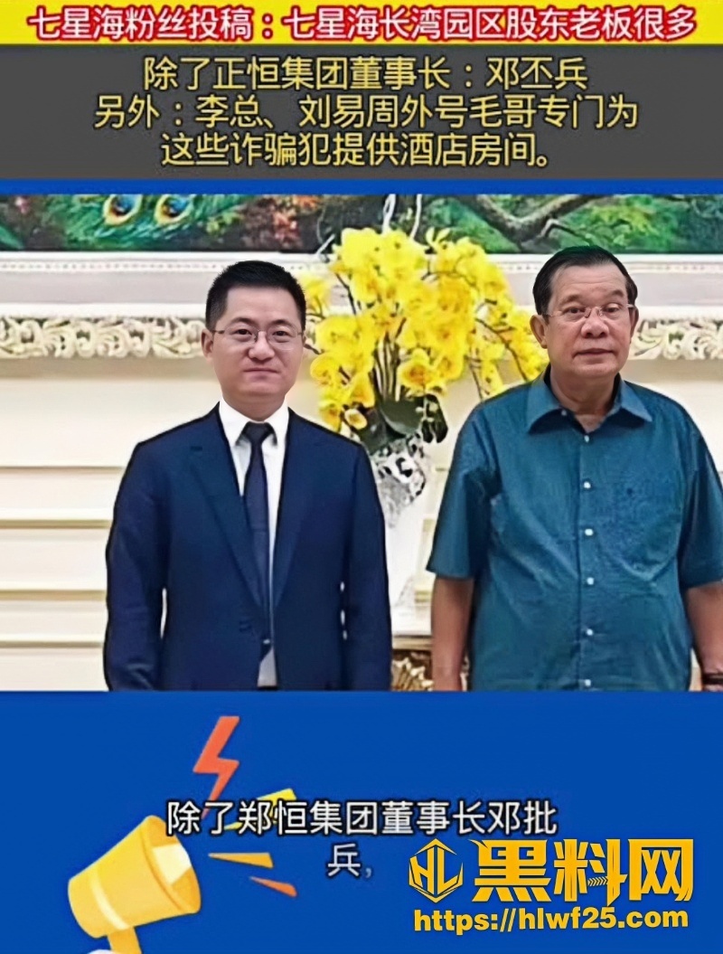 半岛电视台卧底1 3