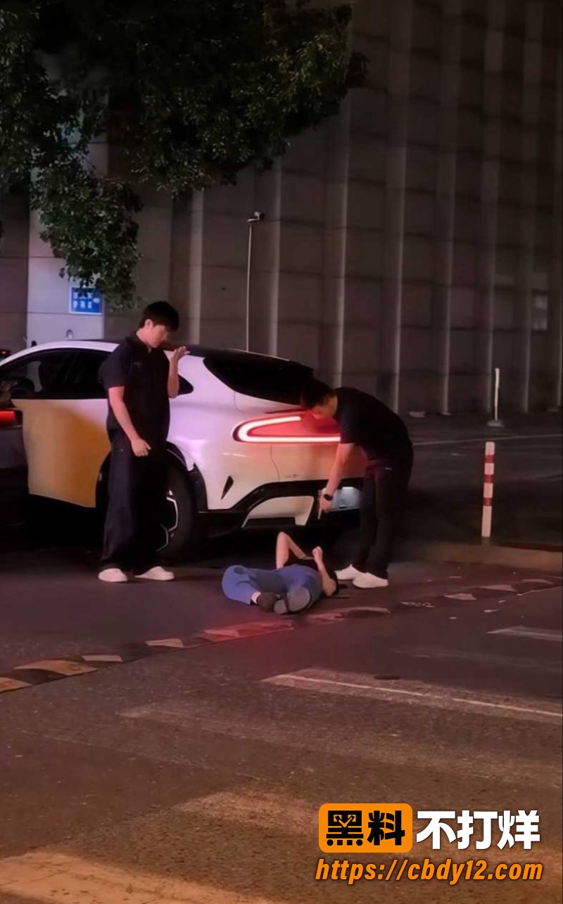 特斯拉车主的妻子 10