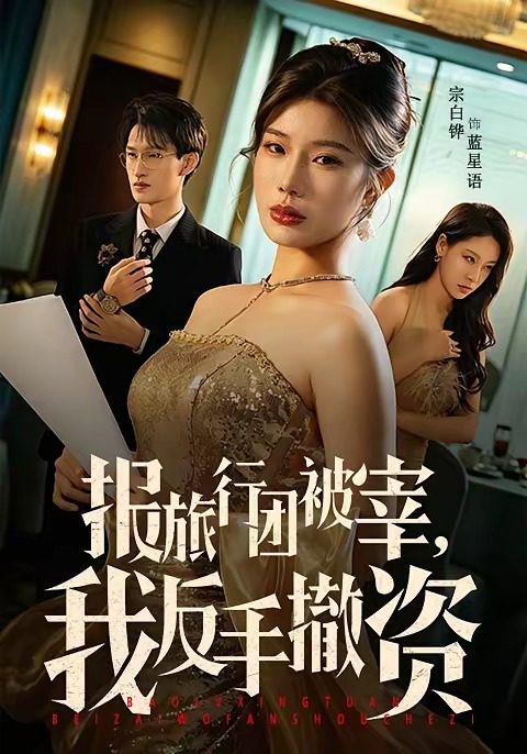 Poster for 报旅行团被宰我反手撤资