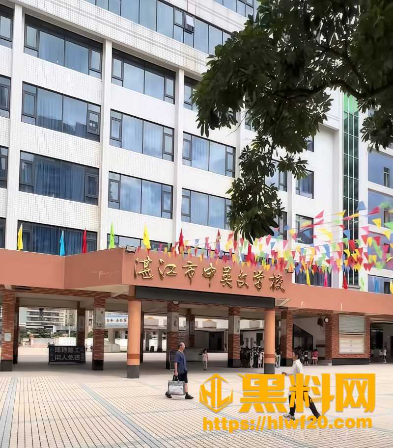 湛江中英文学校教师林远远翻车2