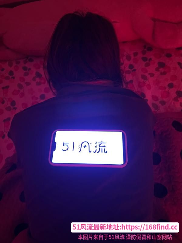泻火秦淮少妇