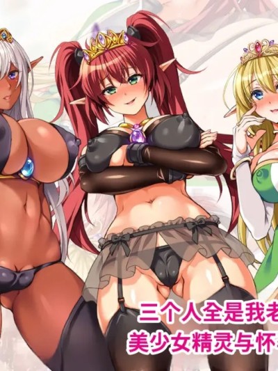 [ロシアン猫] 3人全員俺の嫁!? 美少女エルフと孕ませハーレム! [中国翻訳] [機翻] 的封面