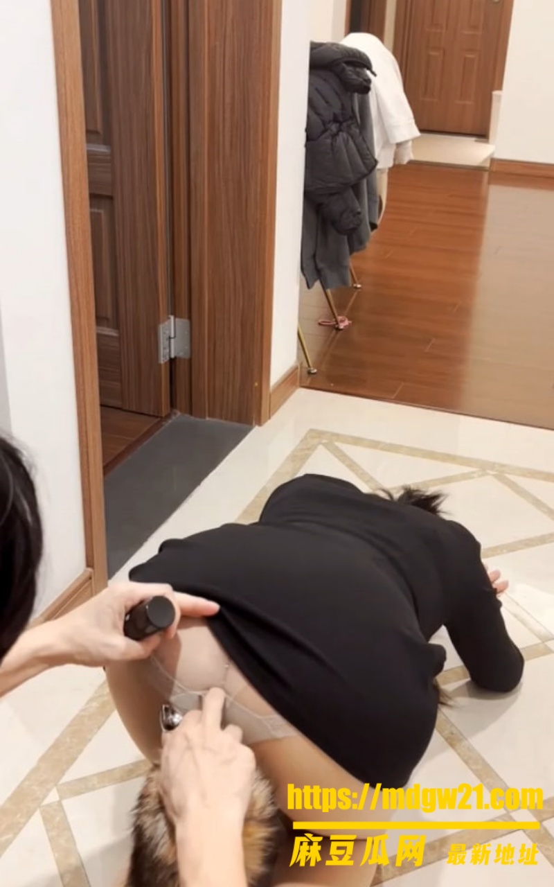 极品女神SM定拍k9训练6