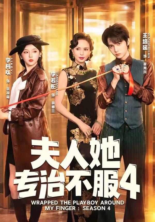 夫人她专治不服4 的封面