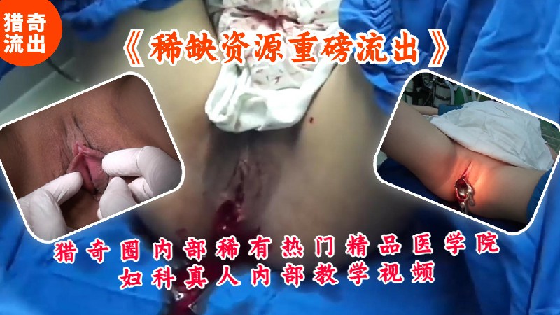 Poster for 猎奇圈稀有热门精品医学院妇科真人内部教学视频