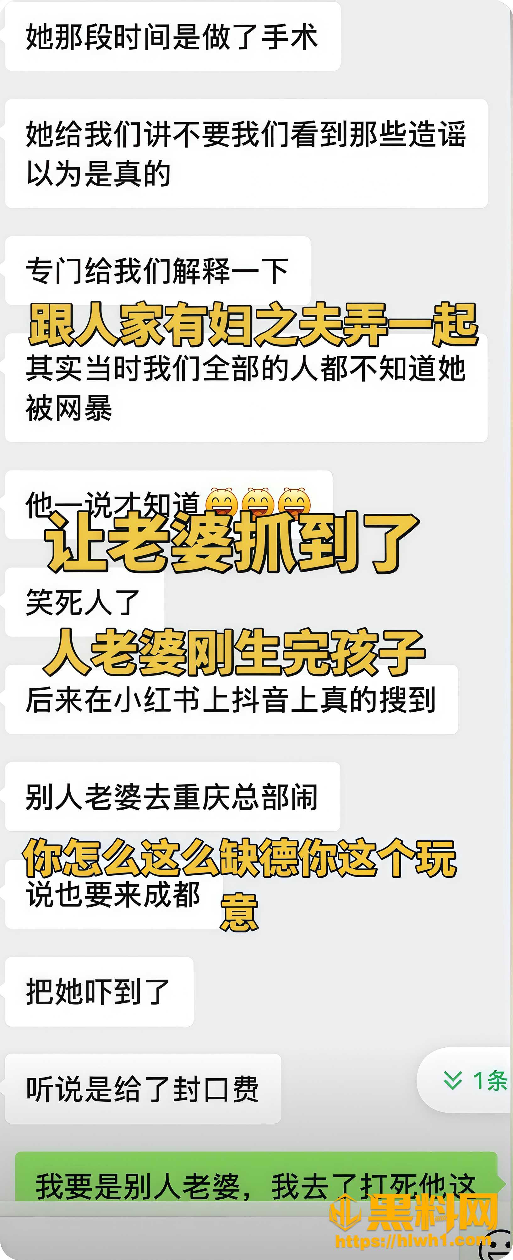 成都刘海英李童鑫偷情 1