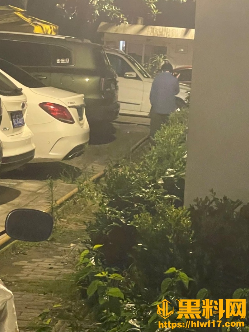 丰乳肥臀的少妇邻居28