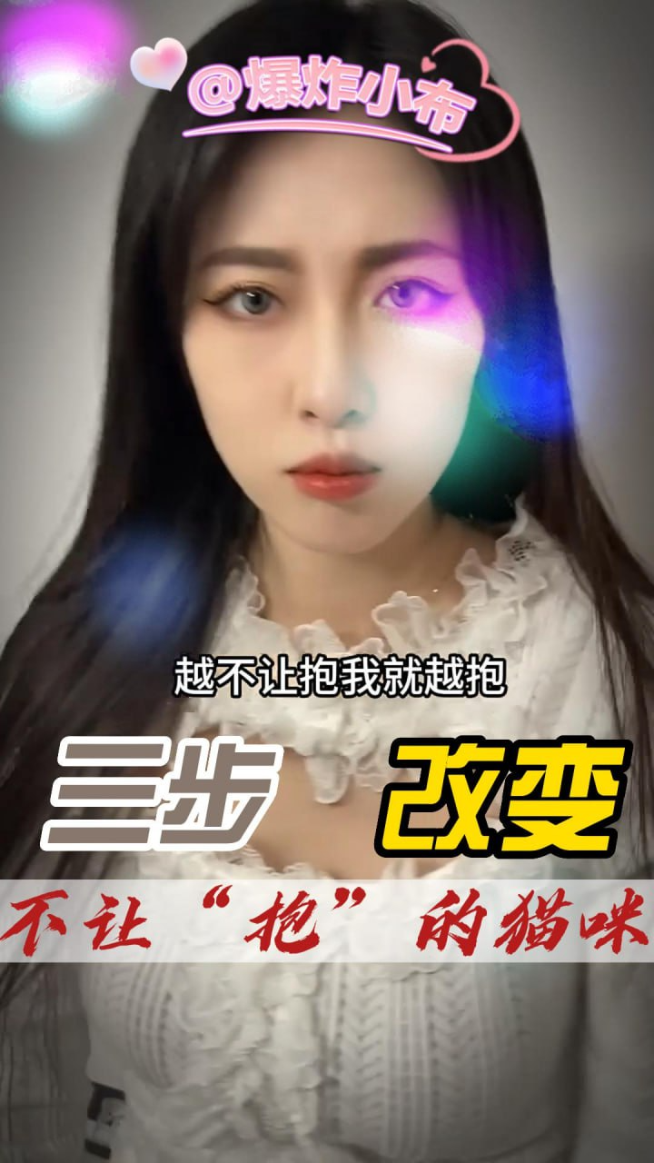 三步改变不让抱的猫咪