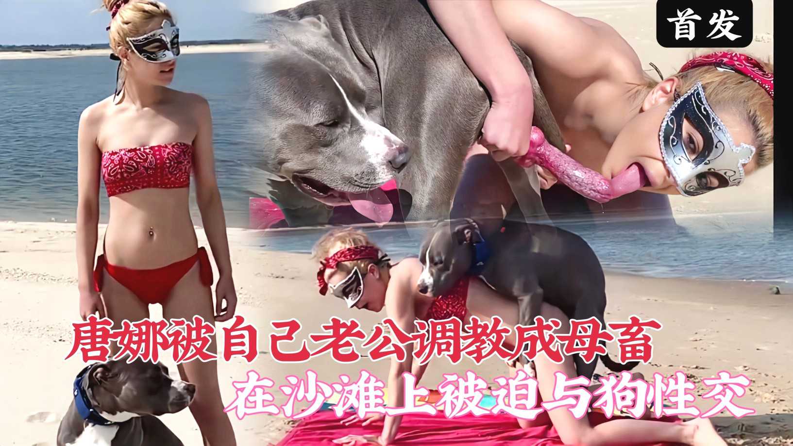 โปสเตอร์สำหรับ 【最新人兽】唐娜被自己老公调教成母畜！在沙滩上被迫与狗兽交!2/3